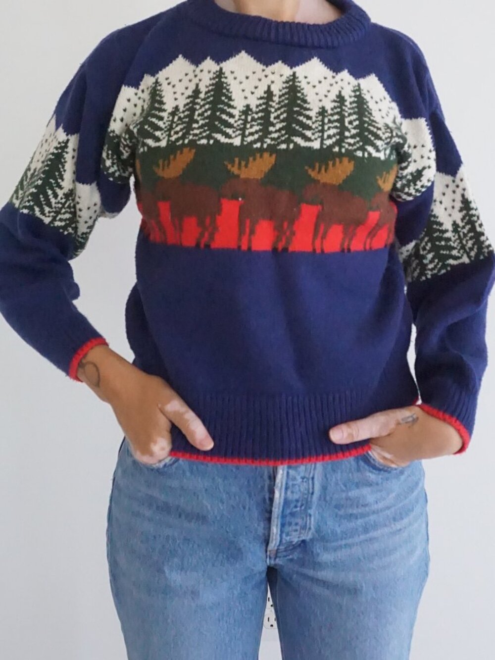 VTG Navy Green Moose Pine Tree Fair Isle Nordic Novelty Cabin Ski Knit Sweater M